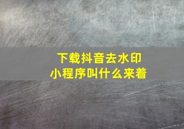 下载抖音去水印小程序叫什么来着