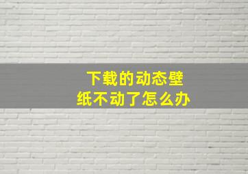 下载的动态壁纸不动了怎么办