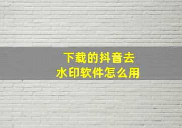 下载的抖音去水印软件怎么用