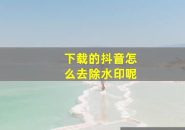 下载的抖音怎么去除水印呢