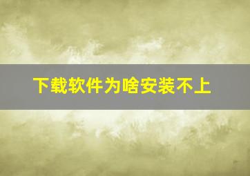 下载软件为啥安装不上