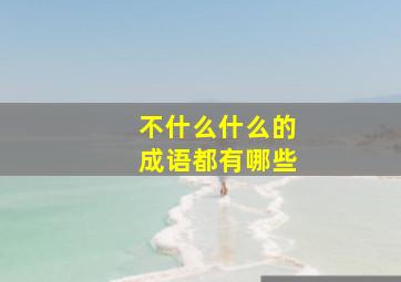 不什么什么的成语都有哪些