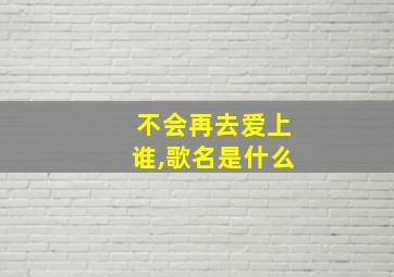 不会再去爱上谁,歌名是什么