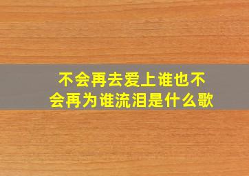 不会再去爱上谁也不会再为谁流泪是什么歌