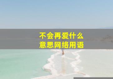 不会再爱什么意思网络用语