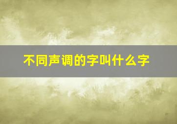 不同声调的字叫什么字