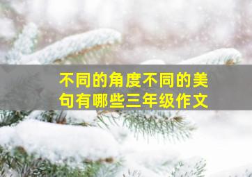 不同的角度不同的美句有哪些三年级作文