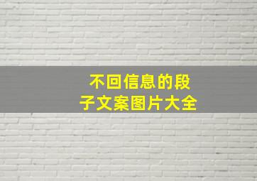 不回信息的段子文案图片大全