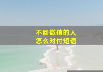 不回微信的人怎么对付短语