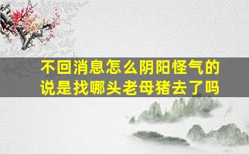 不回消息怎么阴阳怪气的说是找哪头老母猪去了吗