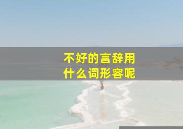 不好的言辞用什么词形容呢