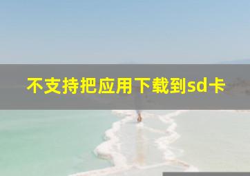 不支持把应用下载到sd卡