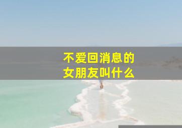 不爱回消息的女朋友叫什么