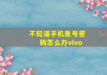 不知道手机账号密码怎么办vivo