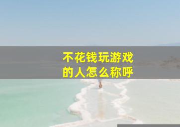 不花钱玩游戏的人怎么称呼