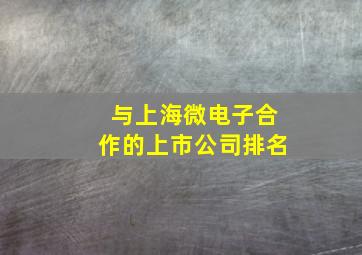 与上海微电子合作的上市公司排名