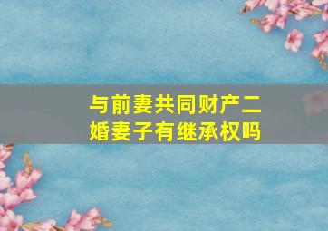 与前妻共同财产二婚妻子有继承权吗