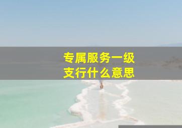 专属服务一级支行什么意思