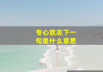 专心致志下一句是什么意思