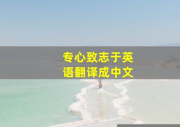 专心致志于英语翻译成中文