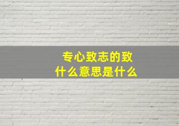 专心致志的致什么意思是什么