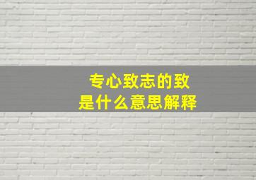 专心致志的致是什么意思解释