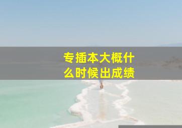 专插本大概什么时候出成绩