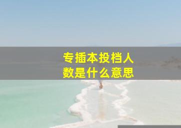 专插本投档人数是什么意思