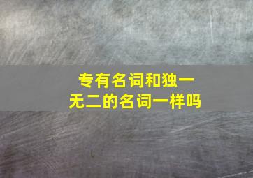 专有名词和独一无二的名词一样吗