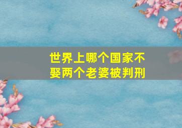 世界上哪个国家不娶两个老婆被判刑