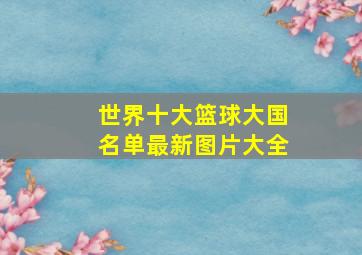 世界十大篮球大国名单最新图片大全