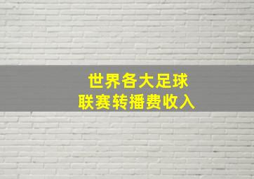 世界各大足球联赛转播费收入