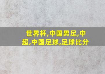 世界杯,中国男足,中超,中国足球,足球比分