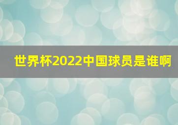 世界杯2022中国球员是谁啊