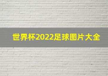 世界杯2022足球图片大全