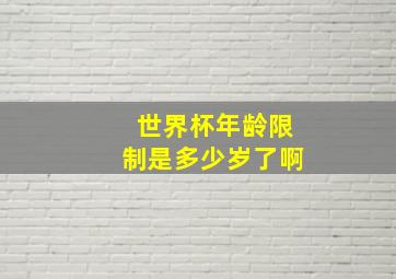 世界杯年龄限制是多少岁了啊