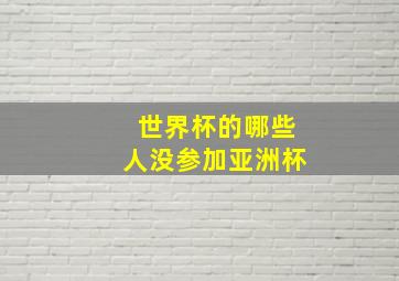 世界杯的哪些人没参加亚洲杯