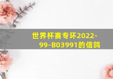 世界杯赛专环2022-99-B03991的信鸽