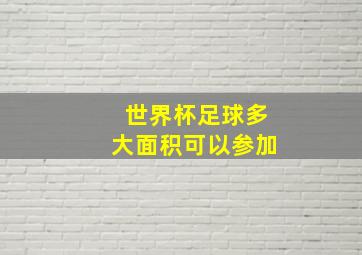 世界杯足球多大面积可以参加