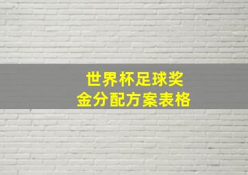 世界杯足球奖金分配方案表格