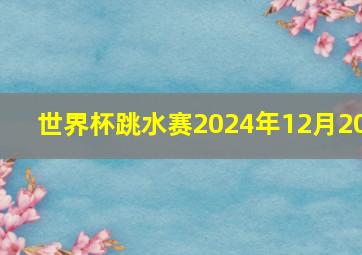 世界杯跳水赛2024年12月20