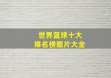 世界篮球十大排名榜图片大全