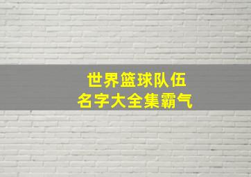 世界篮球队伍名字大全集霸气