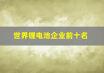 世界锂电池企业前十名