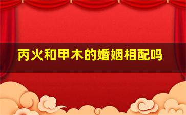 丙火和甲木的婚姻相配吗