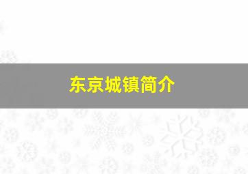 东京城镇简介