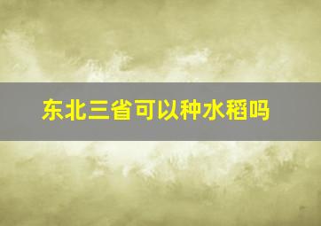 东北三省可以种水稻吗