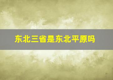 东北三省是东北平原吗