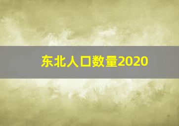 东北人口数量2020