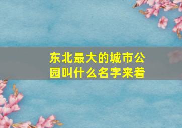 东北最大的城市公园叫什么名字来着